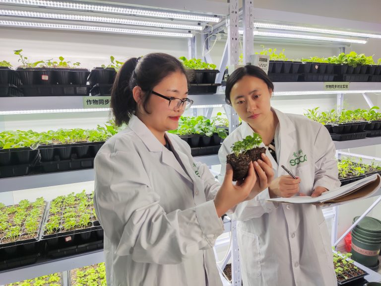 乐虎国际·lehu(中国)官方网站登录