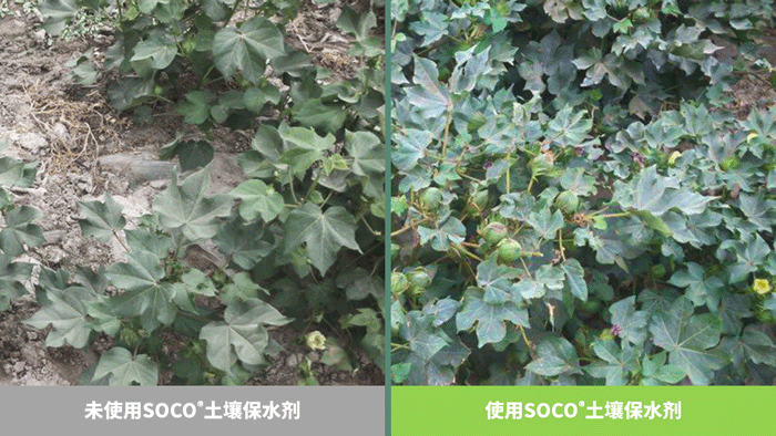 乐虎国际·lehu(中国)官方网站登录